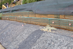 slope repair construction richmond va